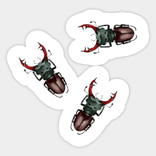 Stag beetles Sticker
